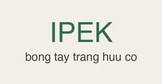 Ipek