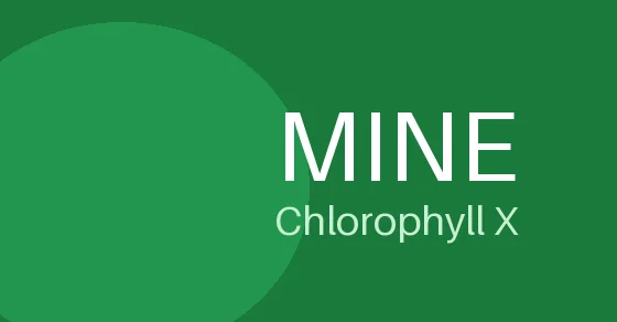 MINE
