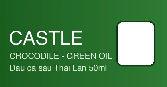 Castle Crocodile