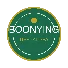 Boonying