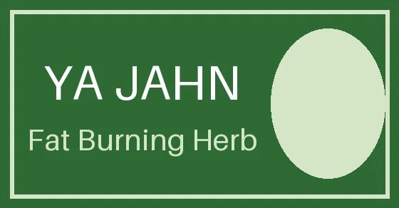 Ya Jahn