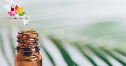 Thành phần dầu cù là gồm những gì? Công dụng và lưu ý khi sử dụng