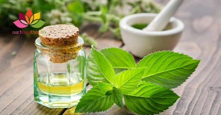 Dầu thảo dược Thái Lan có tác dụng gì? Cách dùng đúng