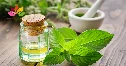 Dầu thảo dược Thái Lan có tác dụng gì? Cách dùng đúng