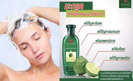 Dầu gội phục hồi tóc Falles Hair Reviving Shampoo Thái lan ảnh 11