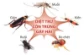 Bình xịt chống muỗi Tiger Balm Mosquito Repellent Aerosol Thái Lan ảnh 4