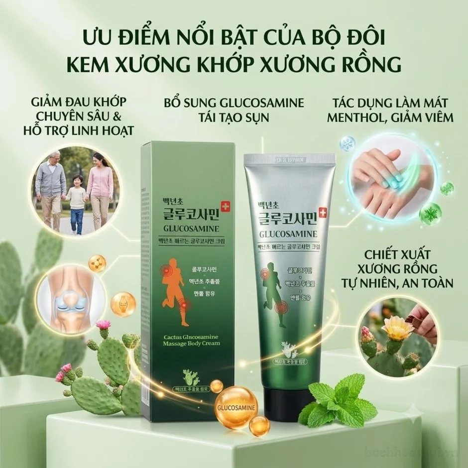 Dầu lạnh xoa bóp khớp chiết xuất xương rồng Cactus Glucosamine 150ml Hàn Quốc ảnh 9