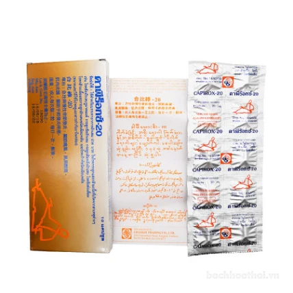 Thuốc trị đau xương khớp gout Capirox-20 Thái Lan ảnh 3