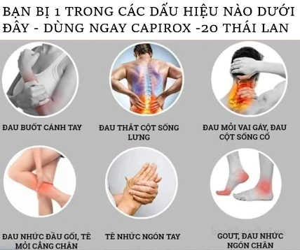 Thuốc trị đau xương khớp gout Capirox-20 Thái Lan ảnh 5