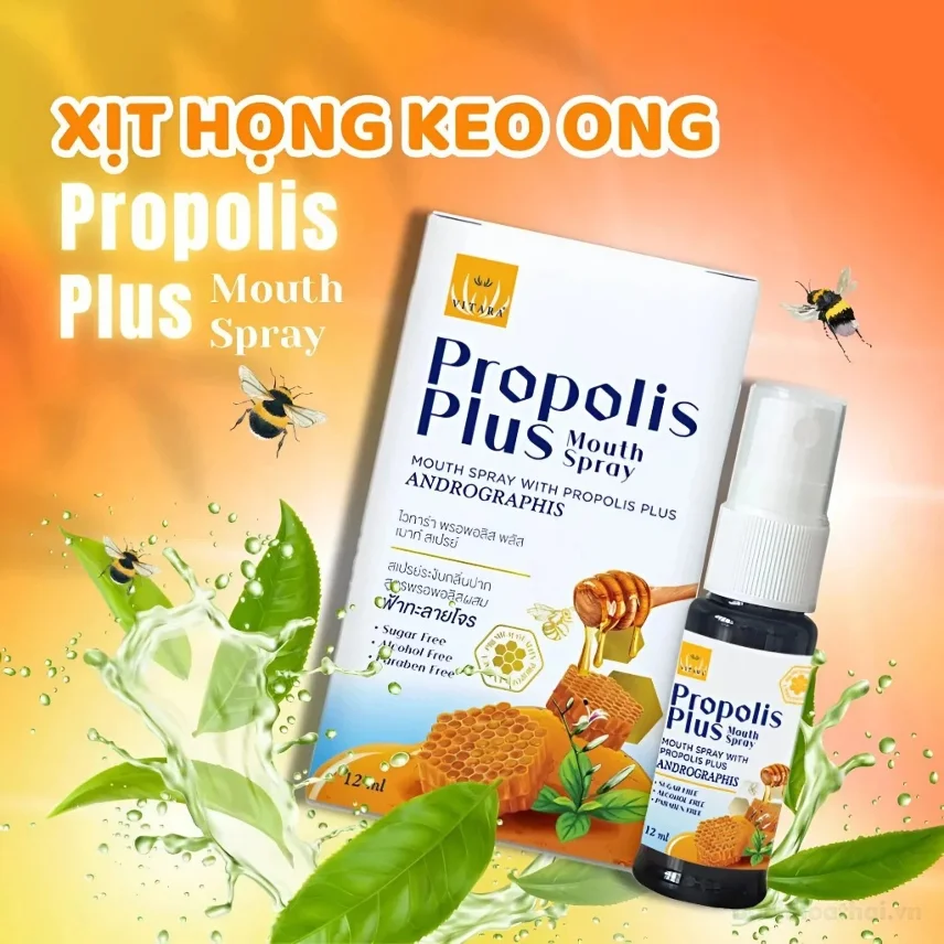 Xịt Họng Keo Ong Propolis Plus 12ml Xuyên Tâm Liên Giảm Đau Họng Khan Tiếng Nhiệt Miệng  ảnh 4