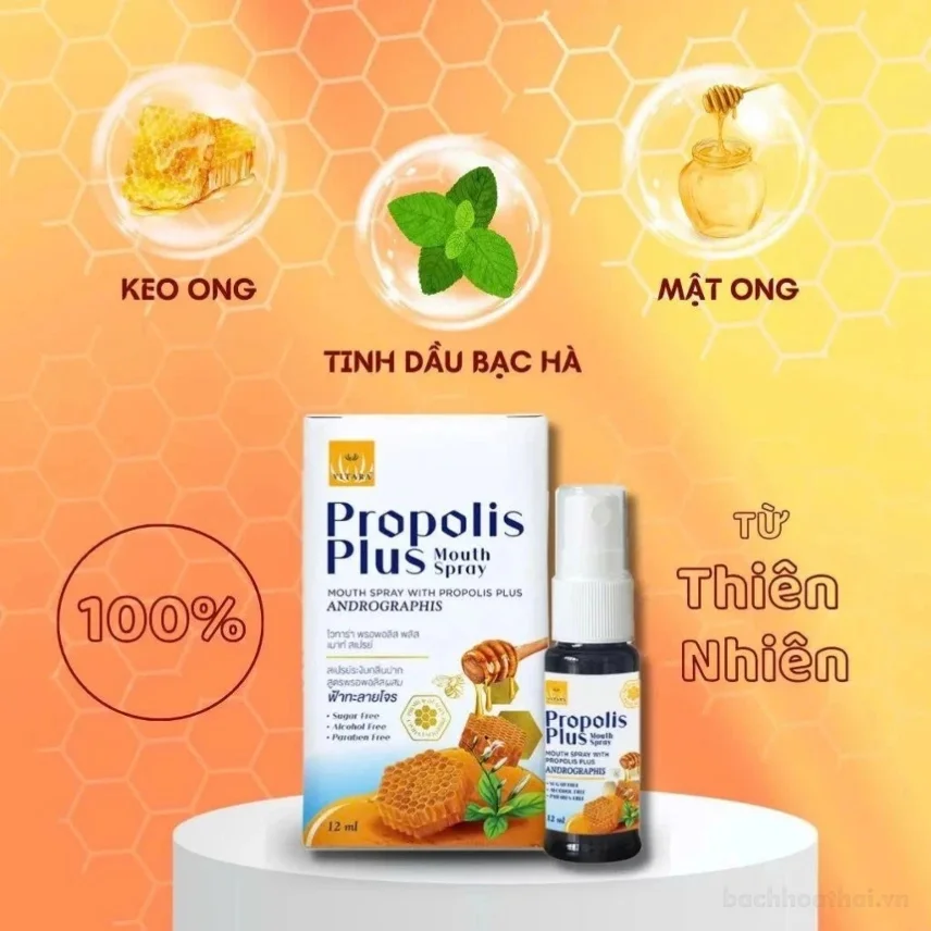 Xịt Họng Keo Ong Propolis Plus 12ml Xuyên Tâm Liên Giảm Đau Họng Khan Tiếng Nhiệt Miệng  ảnh 5