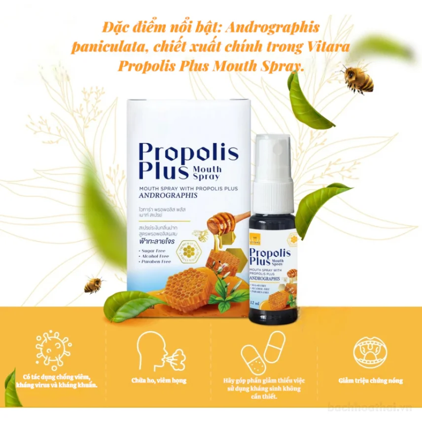 Xịt Họng Keo Ong Propolis Plus 12ml Xuyên Tâm Liên Giảm Đau Họng Khan Tiếng Nhiệt Miệng  ảnh 6