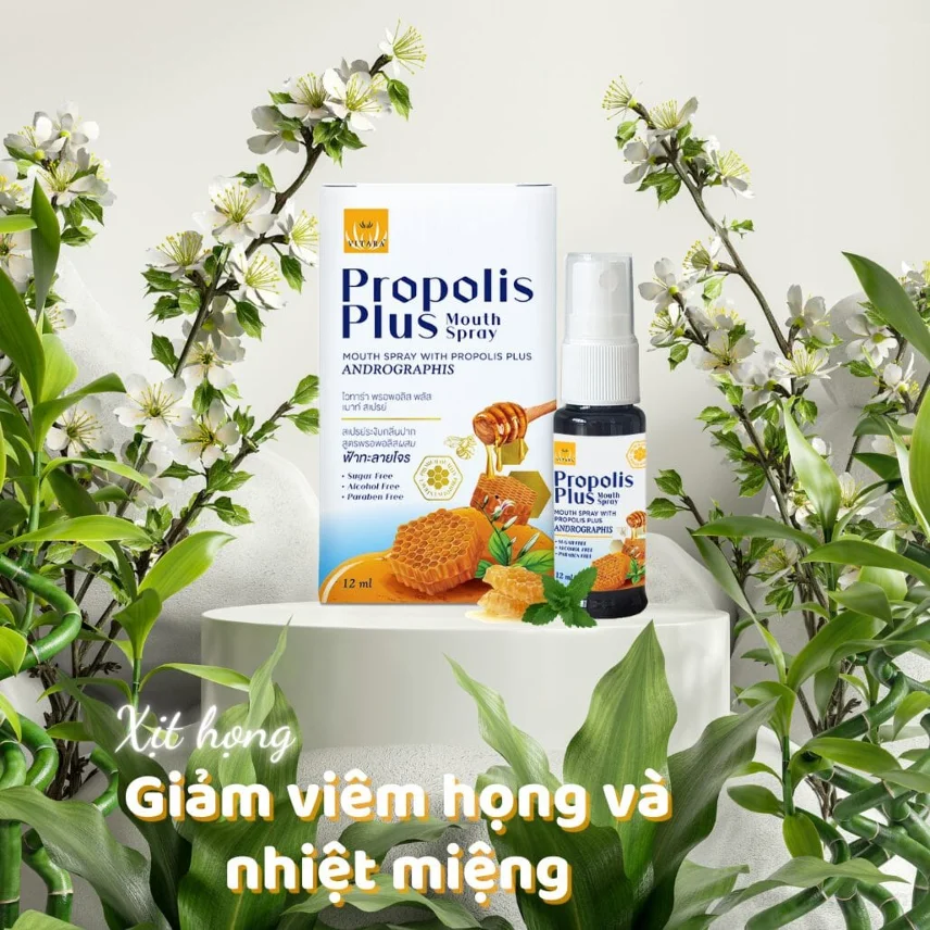 Xịt Họng Keo Ong Propolis Plus 12ml Xuyên Tâm Liên Giảm Đau Họng Khan Tiếng Nhiệt Miệng  ảnh 10