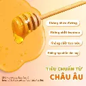 Xịt Họng Keo Ong Propolis Plus 12ml Xuyên Tâm Liên Giảm Đau Họng Khan Tiếng Nhiệt Miệng  ảnh 7
