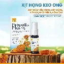 Xịt Họng Keo Ong Propolis Plus 12ml Xuyên Tâm Liên Giảm Đau Họng Khan Tiếng Nhiệt Miệng  ảnh 8