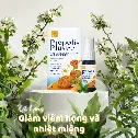 Xịt Họng Keo Ong Propolis Plus 12ml Xuyên Tâm Liên Giảm Đau Họng Khan Tiếng Nhiệt Miệng  ảnh 10