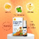 Xịt Họng Keo Ong Propolis Plus 12ml Xuyên Tâm Liên Giảm Đau Họng Khan Tiếng Nhiệt Miệng  ảnh 11