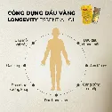 Dầu gió vàng NANOGIZE HEALTH Longevity Essential Oil (21ml) - Mỹ ảnh 4