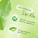 Gel nha đam da kích ứng Vitara Aloe Vera 5% Panthanol làm dịu da ảnh 5