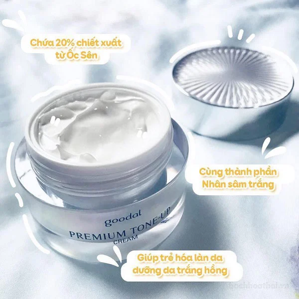 Kem dưỡng nâng tone cấp ẩm goodal PREMIUM TONE-UP Hàn Quốc ảnh 9