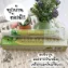 Kem đánh răng thảo dược Botaya Herb Natural Toothpaste ảnh 14