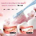 Kem đánh răng làm trắng răng JASMEEN Thái Lan  ảnh 8