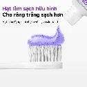 Kem đánh răng làm trắng răng JASMEEN Thái Lan  ảnh 6