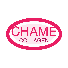 Chame logo