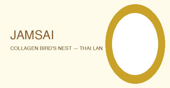 Jamsai Brand Identity