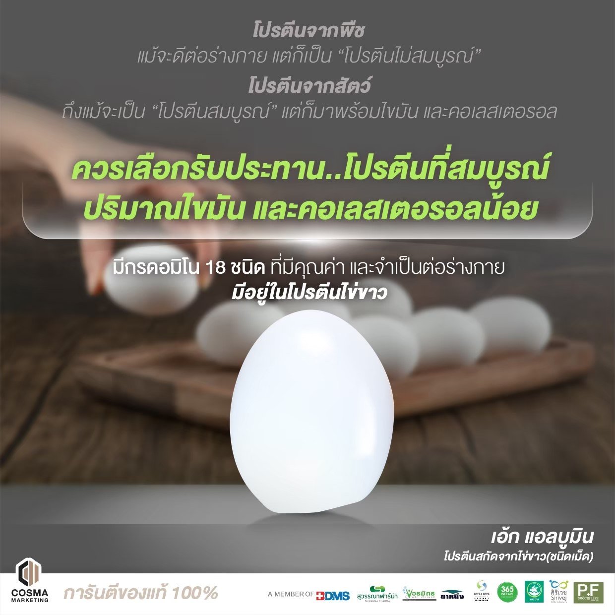 Dòng sản phẩm đạm lòng trắng trứng tinh khiết Egg Albumin do Cosma Marketing nghiên cứu và phát triển