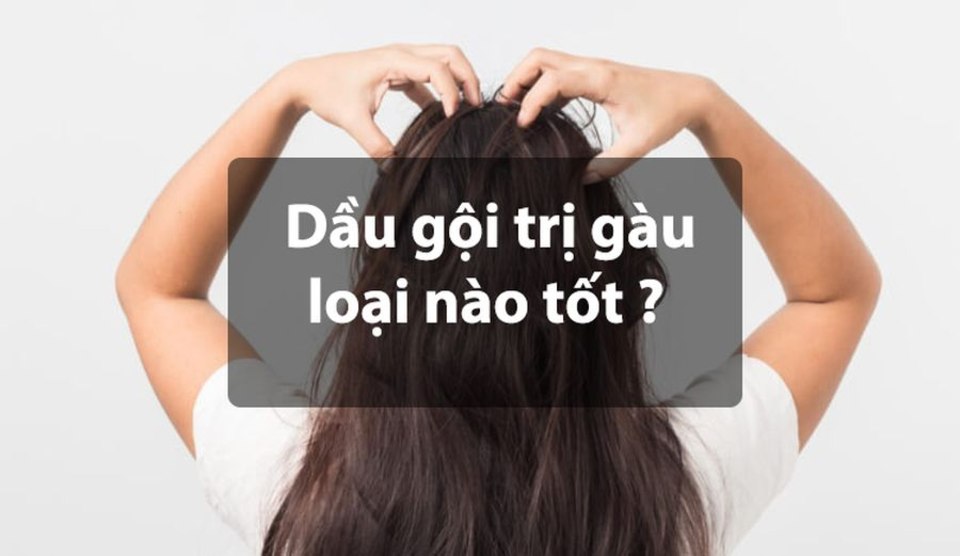 Top 5 dầu gội trị gàu tốt nhất hiện nay