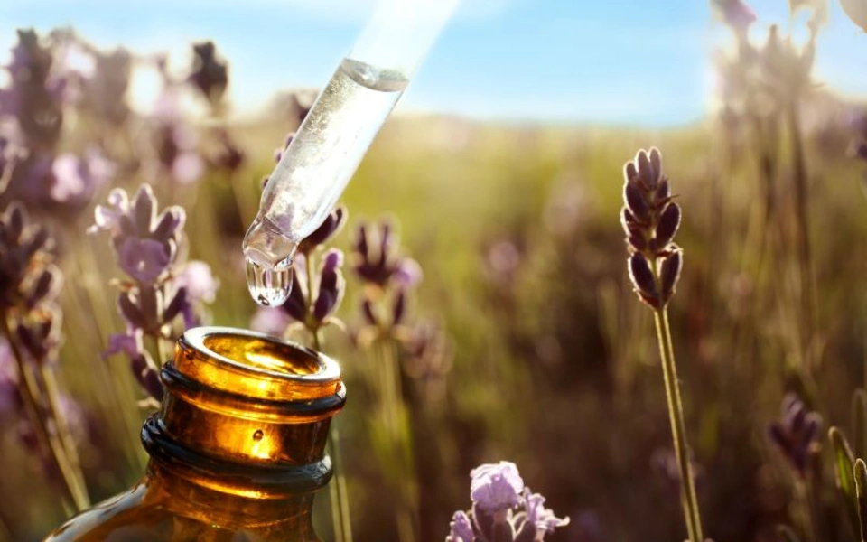 Ảnh bài viết Tinh dầu có hạn sử dụng không? Cách bảo quản tinh dầu tốt nhất!