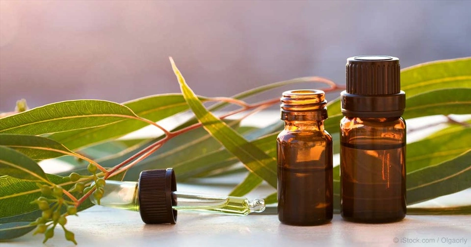 Ảnh bài viết Bật mí 9 tác dụng bất ngờ của dầu khuynh diệp & lưu ý khi sử dụng