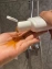 Dầu gội dược liệu loại bỏ gàu, ngứa Bergamot Anti Dandruff Shampoo Thái Lan ảnh 6