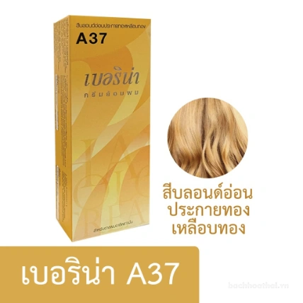 Thuốc nhuộm tóc Berina Hair Color Cream Thái Lan  ảnh 13