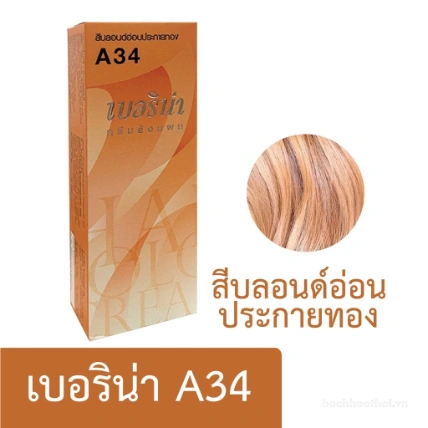 Thuốc nhuộm tóc Berina Hair Color Cream Thái Lan  ảnh 16