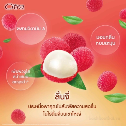 Gel dưỡng thể hương nước hoa Citra Thai Aura Perfume Body Gel Thai Lan ảnh 10