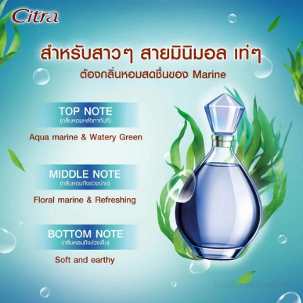 Gel dưỡng thể hương nước hoa Citra Thai Aura Perfume Body Gel Thai Lan ảnh 12