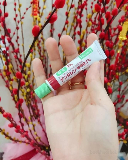 Gel xóa mờ sẹo đánh bay mụn Gentacin Ointment 0.1% Nhật Bản ảnh 15