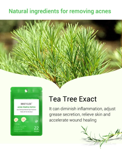Miếng dán mụn Lanbena Breylee Acne Pimple Patch ảnh 5