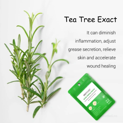 Miếng dán mụn Lanbena Breylee Acne Pimple Patch ảnh 17