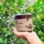 Tẩy tế bào chết thảo dược Pitchii Coffee Scrub Herbal Shower Cream 500gr ảnh 2