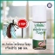 Tinh dầu sả chống muỗi NovoLife Green Herb Mosquito Repellent 50ml ảnh 2