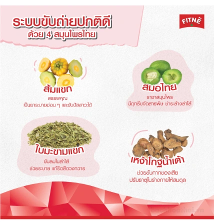 Trà giảm cân túi lọc Green Tea Flavored FITNE Herbal Thái Lan ảnh 15