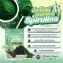 Viên uống đào thải mỡ tảo biển Judy DTX Premium Spirulina Thái Lan ảnh 8