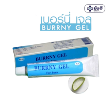 Ảnh sản phẩm Kem trị bỏng thành phần nha đam Yanhee Burrny Gel 30gr 1
