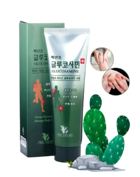 Ảnh sản phẩm Dầu lạnh xoa bóp khớp chiết xuất xương rồng Cactus Glucosamine 150ml Hàn Quốc 1