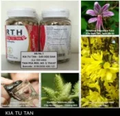 Ảnh sản phẩm Thuốc rắn số 1 giải độc gan trị bệnh ngoài da RTH Kia Tu Tan & Zia Tu Wan Thái Lan 2