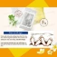 Miếng dán thải độc bàn chân Lanna Foot Patch  ảnh 6