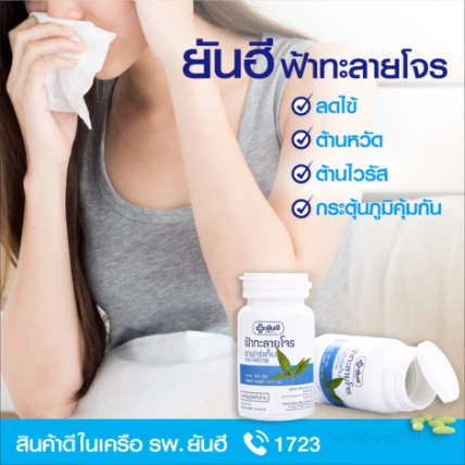 Viên uống tăng đề kháng ngừa cảm cúm Yanhee Ya Fartab (Andrographis paniculate) ảnh 10